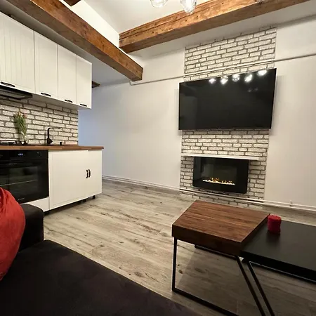 公寓 Refugiul Urban 克拉奥华